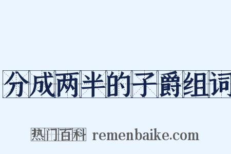 分成两半的子爵组词是什么意思的图片